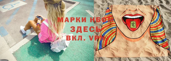 сатива Богородск