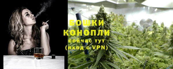 сатива Богородск