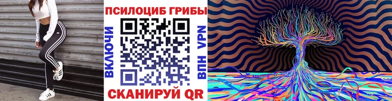 Галлюциногенные грибы прущие грибы  OMG tor  Торжок 