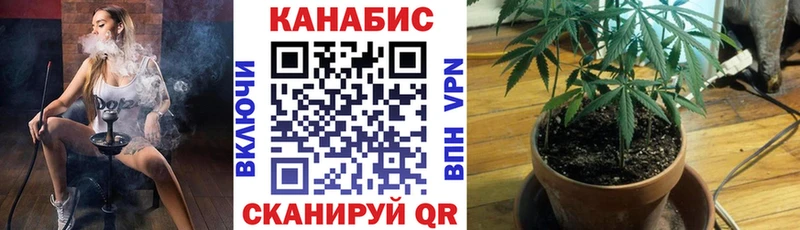 где найти наркотики  Торжок  Конопля SATIVA & INDICA 